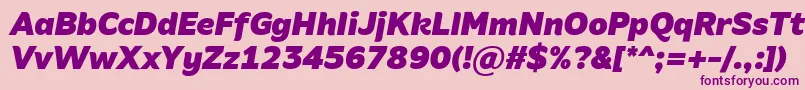 AminoBlackItalic Font – Purple Fonts on Pink Background