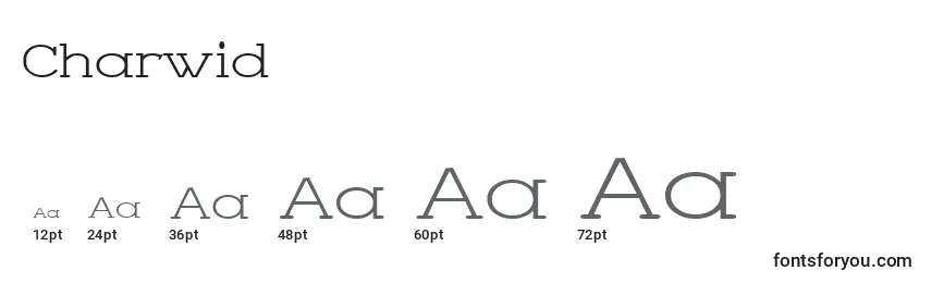 Charwid Font Sizes