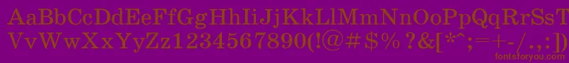 SchoolbookacRegular Font – Brown Fonts on Purple Background