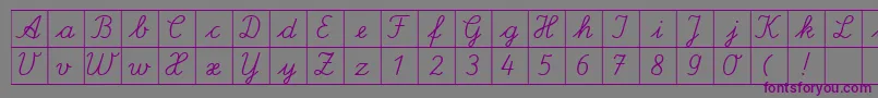 フォントSpLaQuadratDb – 紫色のフォント、灰色の背景