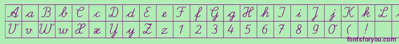 フォントSpLaQuadratDb – 緑の背景に紫のフォント