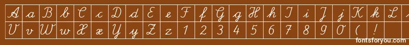 フォントSpLaQuadratDb – 茶色の背景に白い文字