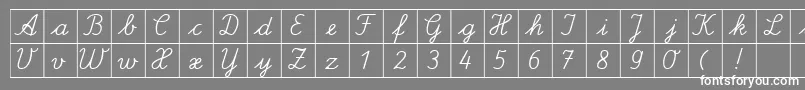 フォントSpLaQuadratDb – 灰色の背景に白い文字