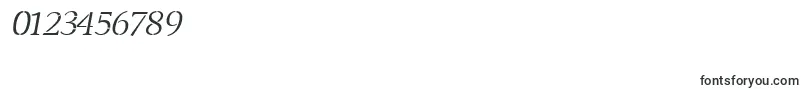TransportLightItalic-Schriftart – Schriften für Zahlen und Nummern