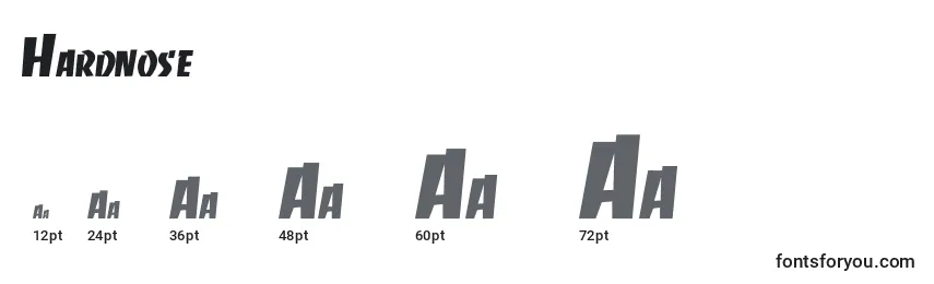 Hardnose Font Sizes