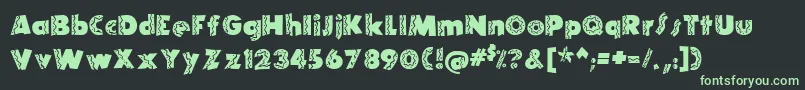 ElRioLobo Font – Green Fonts on Black Background