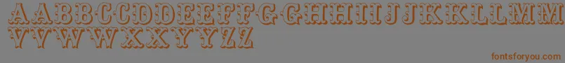 Toskanische Font – Brown Fonts on Gray Background