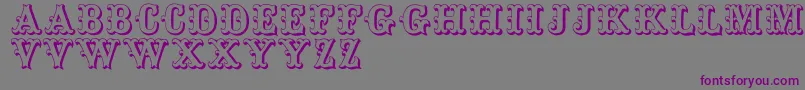 Toskanische Font – Purple Fonts on Gray Background