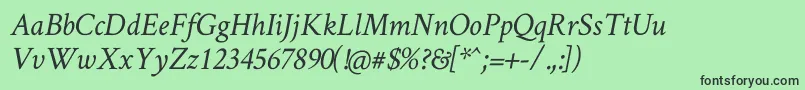 CrimsonTextItalic Font – Black Fonts on Green Background