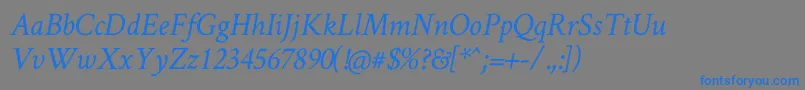 CrimsonTextItalic Font – Blue Fonts on Gray Background