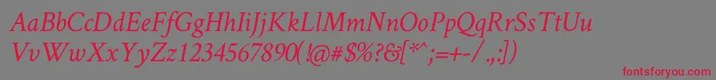 CrimsonTextItalic Font – Red Fonts on Gray Background