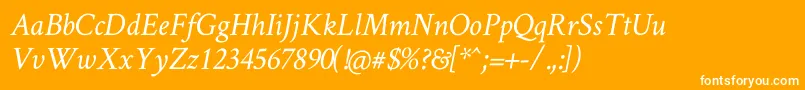 CrimsonTextItalic Font – White Fonts on Orange Background
