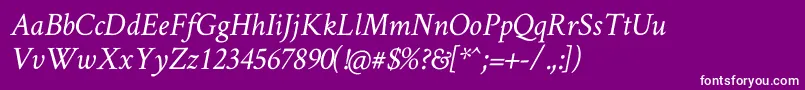 CrimsonTextItalic Font – White Fonts on Purple Background