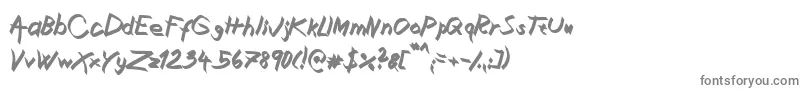XaligraphyBolditalic Font – Gray Fonts on White Background