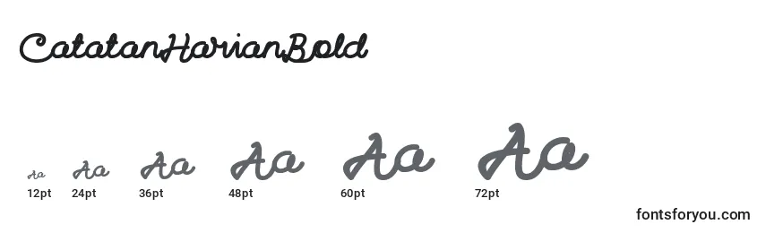 CatatanHarianBold Font Sizes