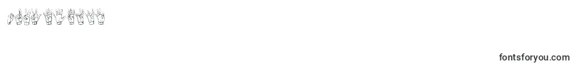 Gallaudetregular-Schriftart – Schriften für Zahlen und Nummern
