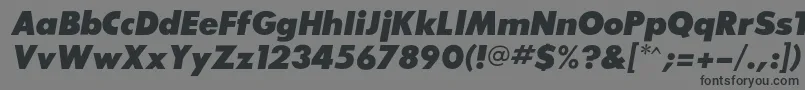 フォントSansserifexbflfItalic – 黒い文字の灰色の背景