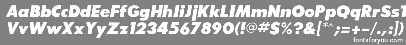 SansserifexbflfItalic Font – White Fonts on Gray Background