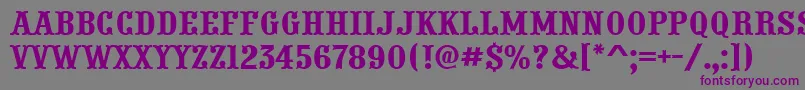 APresentum-fontti – violetit fontit harmaalla taustalla