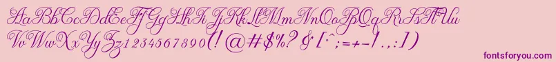 OliviaRegular Font – Purple Fonts on Pink Background