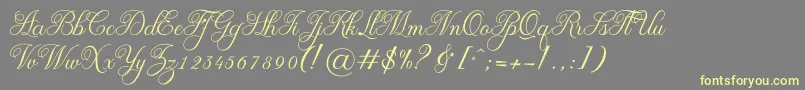 OliviaRegular Font – Yellow Fonts on Gray Background