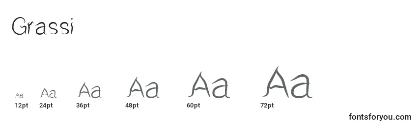 Grassi Font Sizes