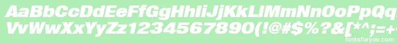 Heavenetica9pUblkoblsh Font – White Fonts on Green Background
