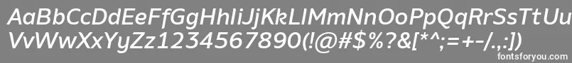 AminoMediumItalic Font – White Fonts on Gray Background