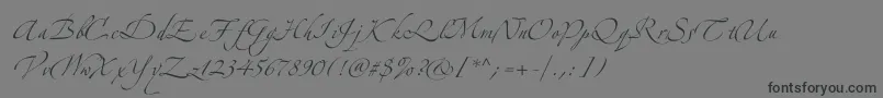 Zeferinotwo Font – Black Fonts on Gray Background