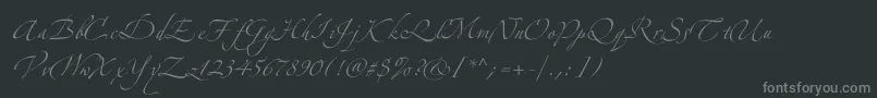 フォントZeferinotwo – 黒い背景に灰色の文字