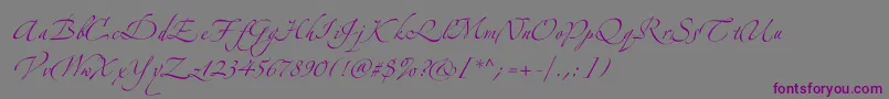 Шрифт Zeferinotwo – фиолетовые шрифты на сером фоне