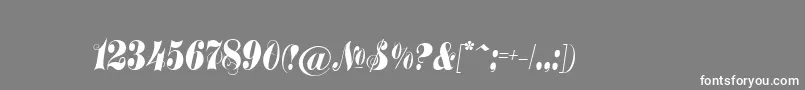 Treasuryc Font – White Fonts on Gray Background