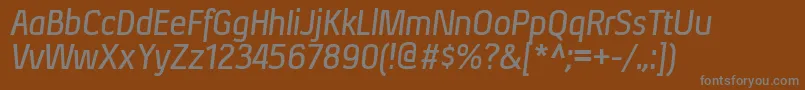 フォントXenusbItalic – 茶色の背景に灰色の文字