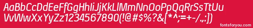 フォントXenusbItalic – 赤い背景に白い文字