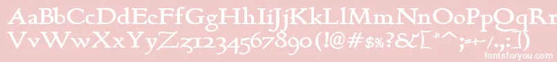 BerthB Font – White Fonts on Pink Background