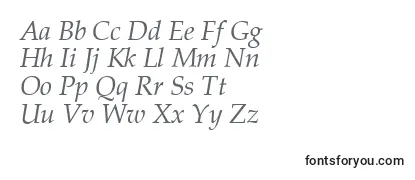 Review of the PalazzoItalic Font