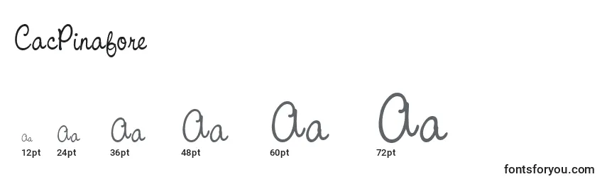 CacPinafore Font Sizes