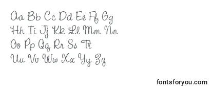 Обзор шрифта CacPinafore