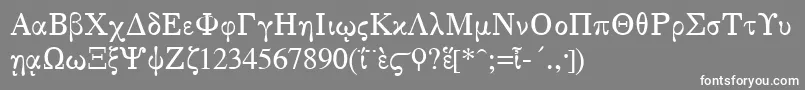 GreekSerge1Normal Font – White Fonts on Gray Background