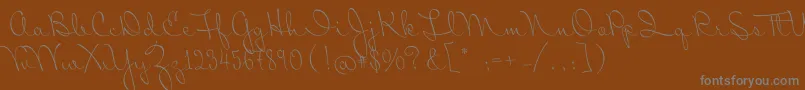 fuente MrSopkin – Fuentes Grises Sobre Fondo Marrón