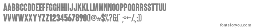 フォントColuna – 白い背景に灰色の文字