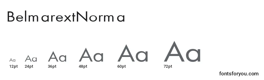 Размеры шрифта BelmarextNorma