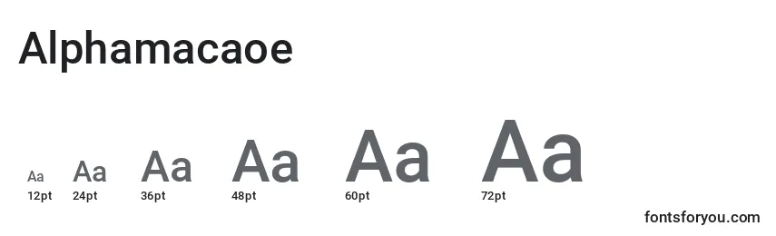 Размеры шрифта Alphamacaoe