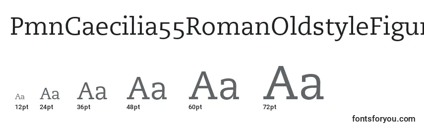 PmnCaecilia55RomanOldstyleFigures font sizes