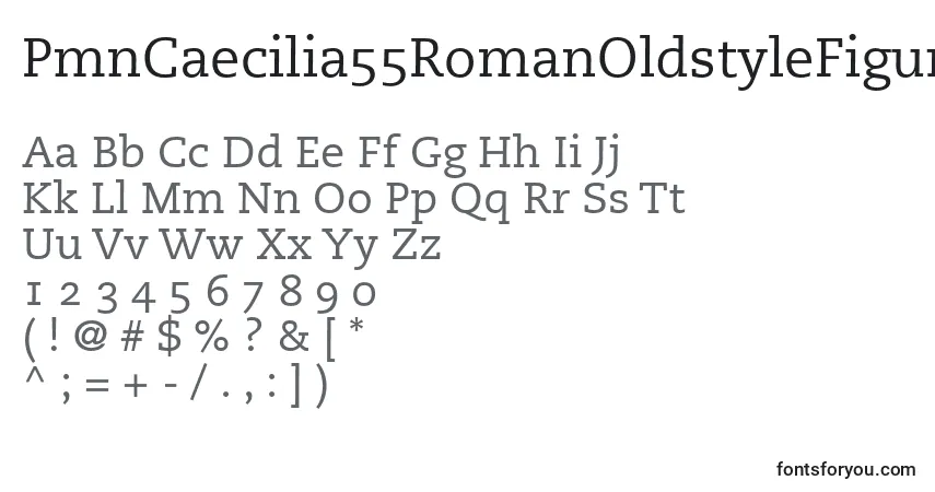 characters of pmncaecilia55romanoldstylefigures font, letter of pmncaecilia55romanoldstylefigures font, alphabet of  pmncaecilia55romanoldstylefigures font
