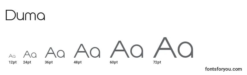 Размеры шрифта Duma