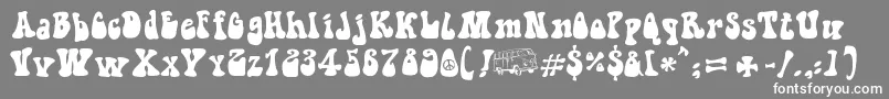 HippieMovement Font – White Fonts on Gray Background