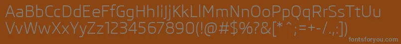 SkodaPro Font – Gray Fonts on Brown Background