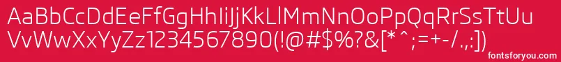 SkodaPro Font – White Fonts on Red Background