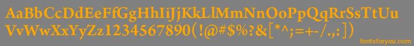 ArnoproSemibold10pt Font – Orange Fonts on Gray Background